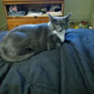 Meet your Posher, Barbara